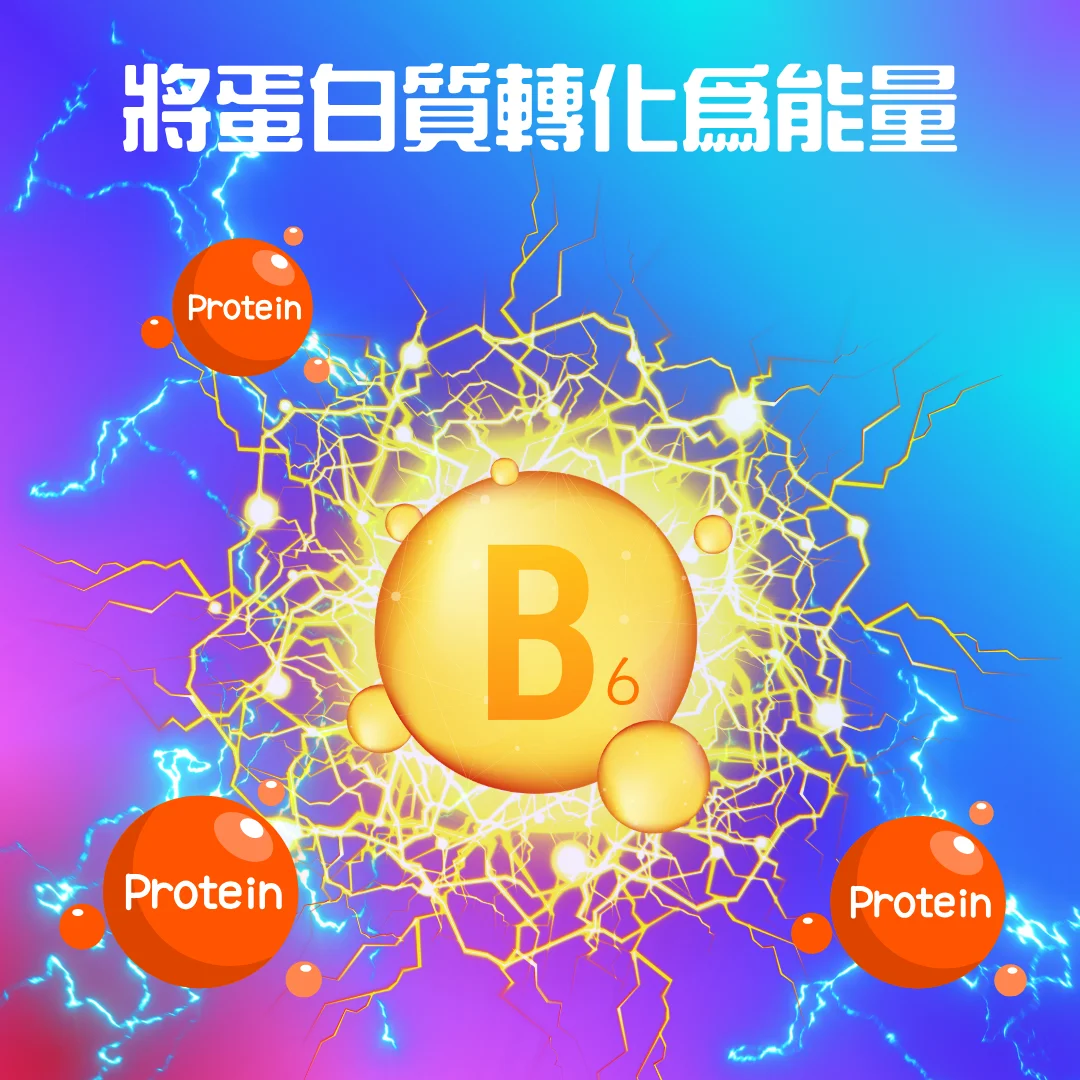 舒活力