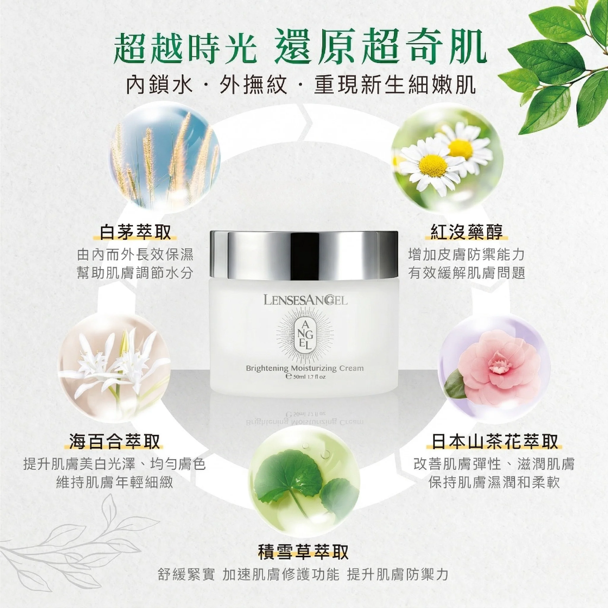 天使極潤乳霜 50ml｜抗初老極潤修護・淨透閃耀聚光乳霜